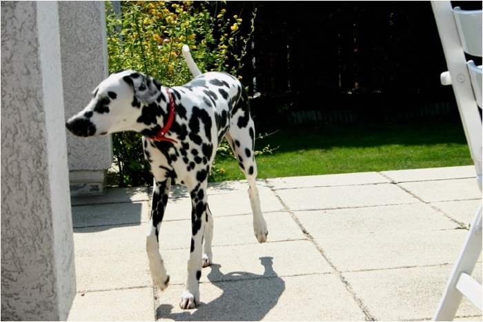 <b>mal sehen, was sich auf der Promenade tut...<b>